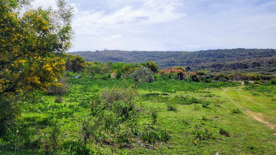 5 Bedroom Property for Sale in Uilenkraalsmond Western Cape